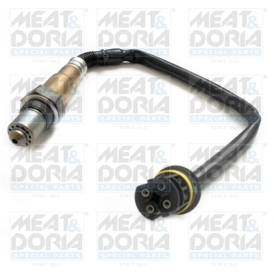 Oxygen Sensor